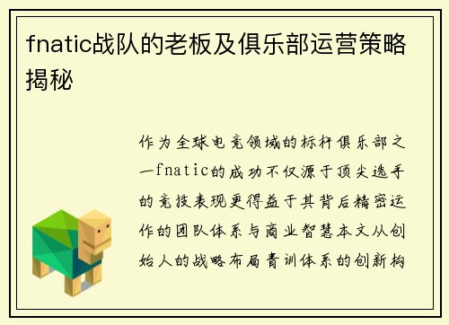 fnatic战队的老板及俱乐部运营策略揭秘