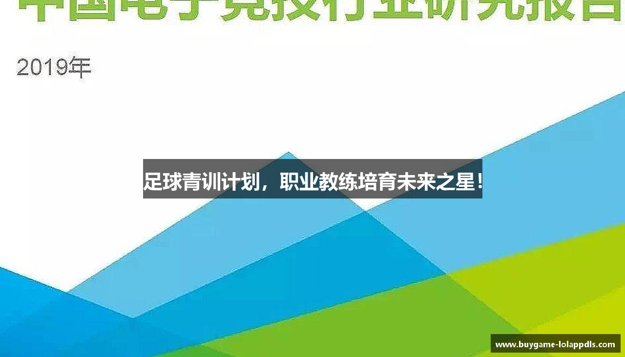 足球青训计划，职业教练培育未来之星！